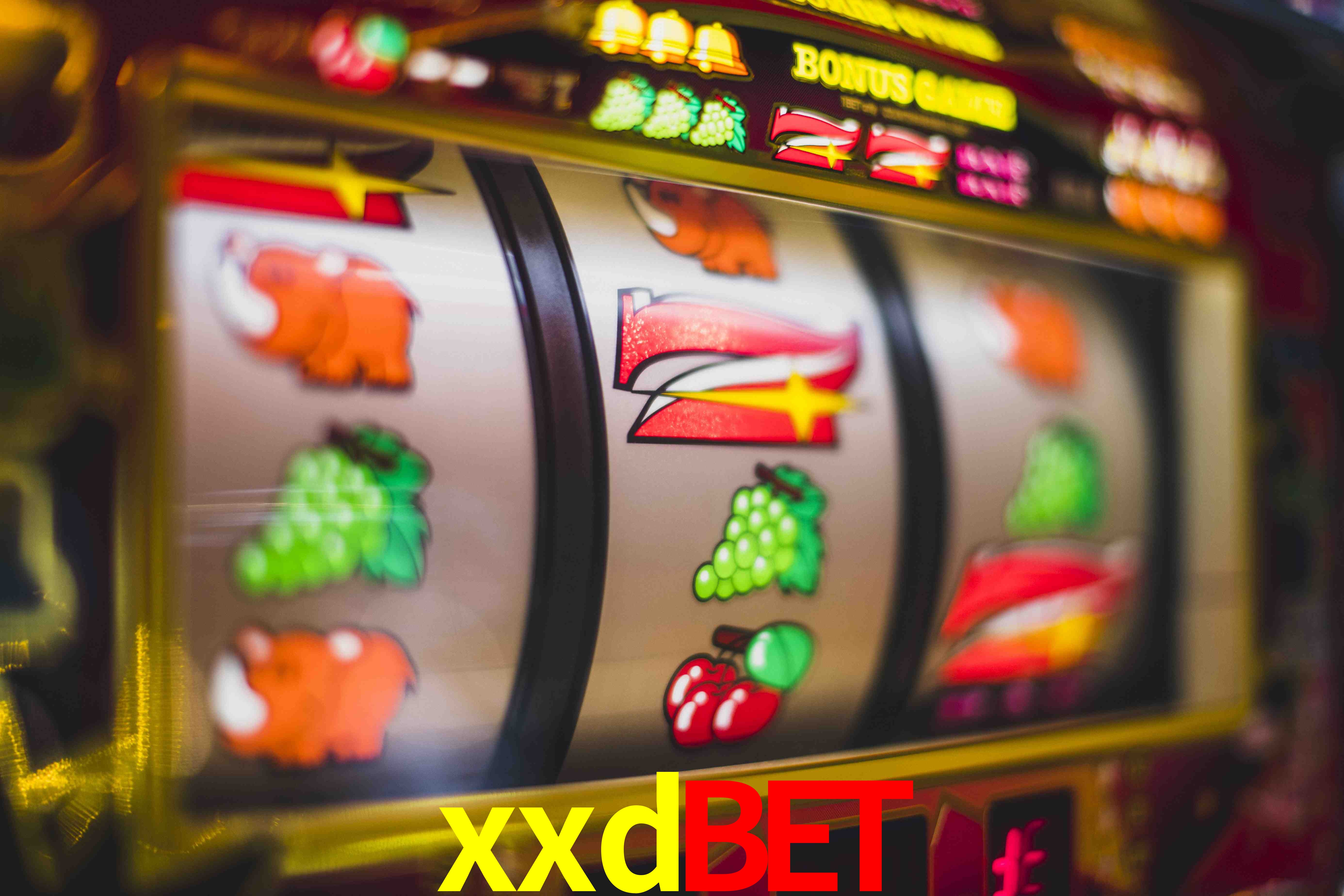 Tennis Betting xxdbet